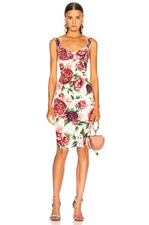 dolce gabbana peony dress.